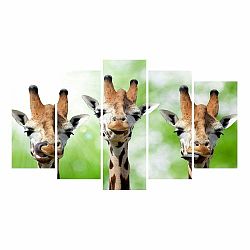 Viacdielny obraz na plátne Animal Giraffe